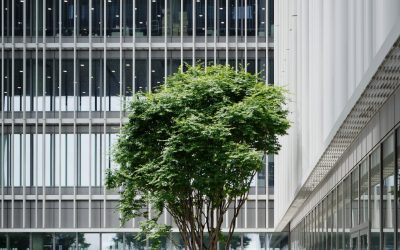 Real Estate Advisory vs Real Estate Agency: What Are The Differences in England